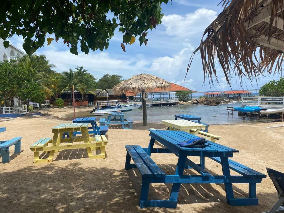 Lush Tropical Apartment Located In A 4-Star Resort Runaway Bay Luaran gambar